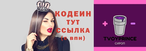 прущий лед Рославль