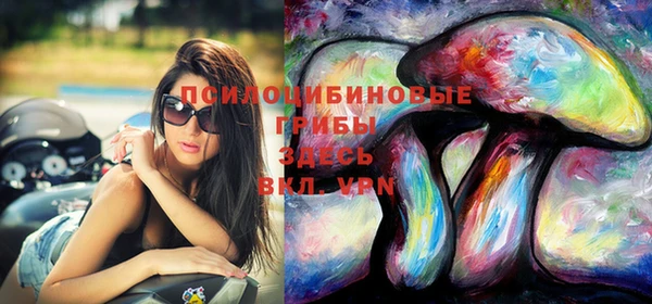 прущий лед Рославль