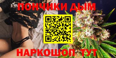 PSILOCYBIN Кандалакша