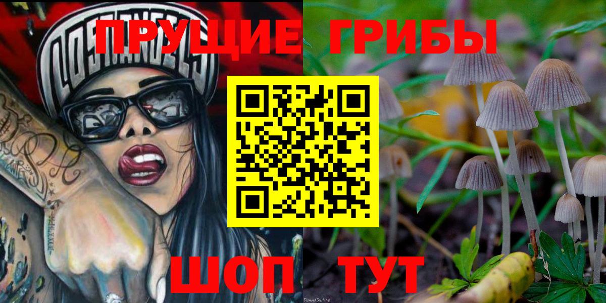 Псилоцибиновые грибы Psilocybine cubensis  купить наркоту  Северобайкальск  Галлюциногенные грибы Psilocybine cubensis 