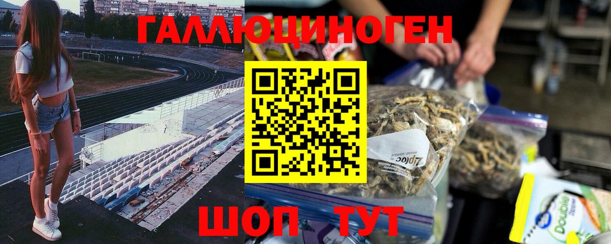 Псилоцибиновые грибы MAGIC MUSHROOMS Северобайкальск