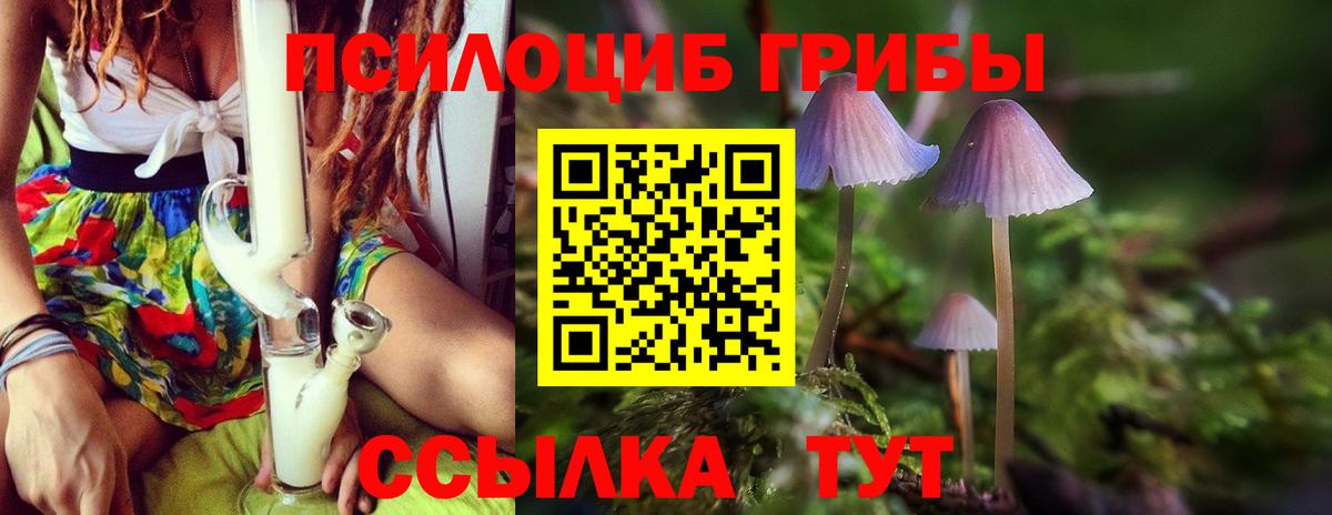 Галлюциногенные грибы GOLDEN TEACHER  Вход с VPN  Северобайкальск 